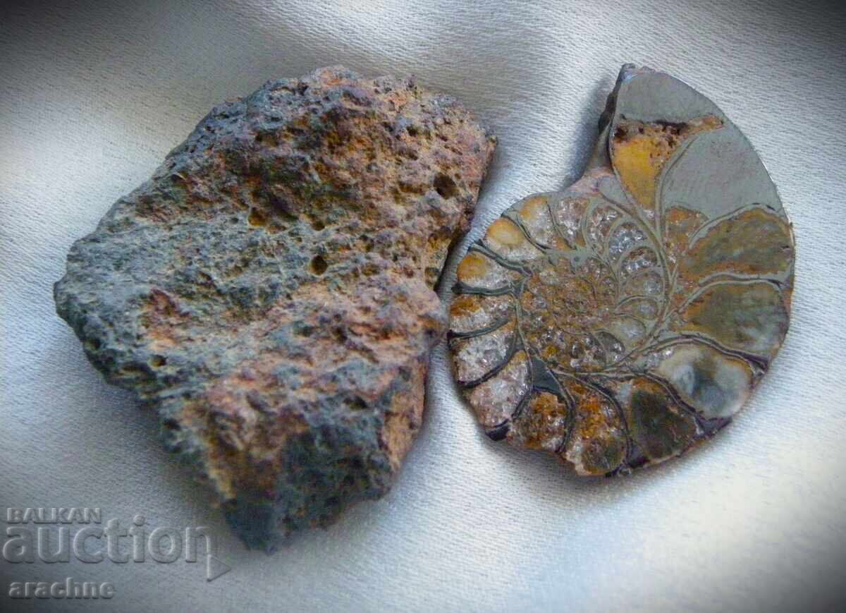Meteorite and Ammonite from Morocco - 5