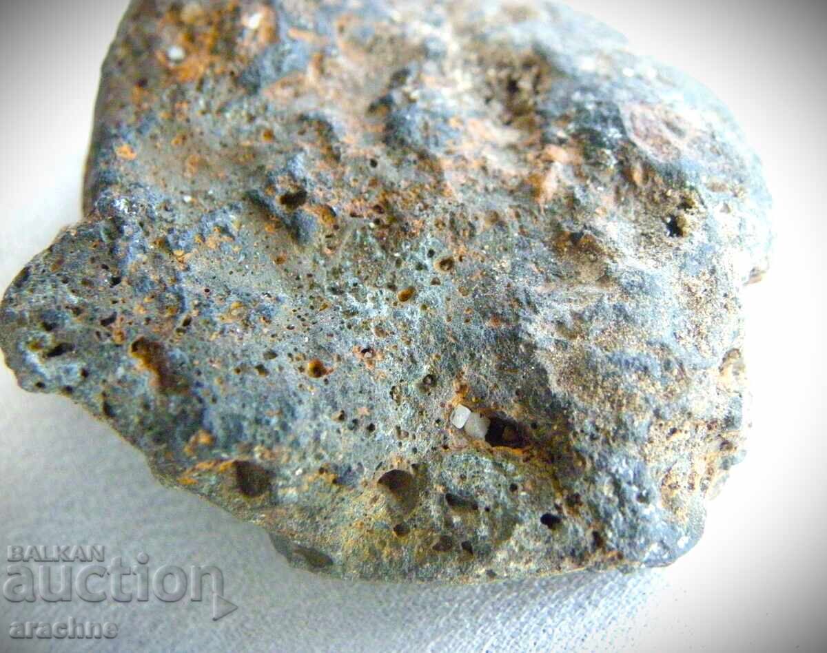 Meteorite and Ammonite from Morocco - 6