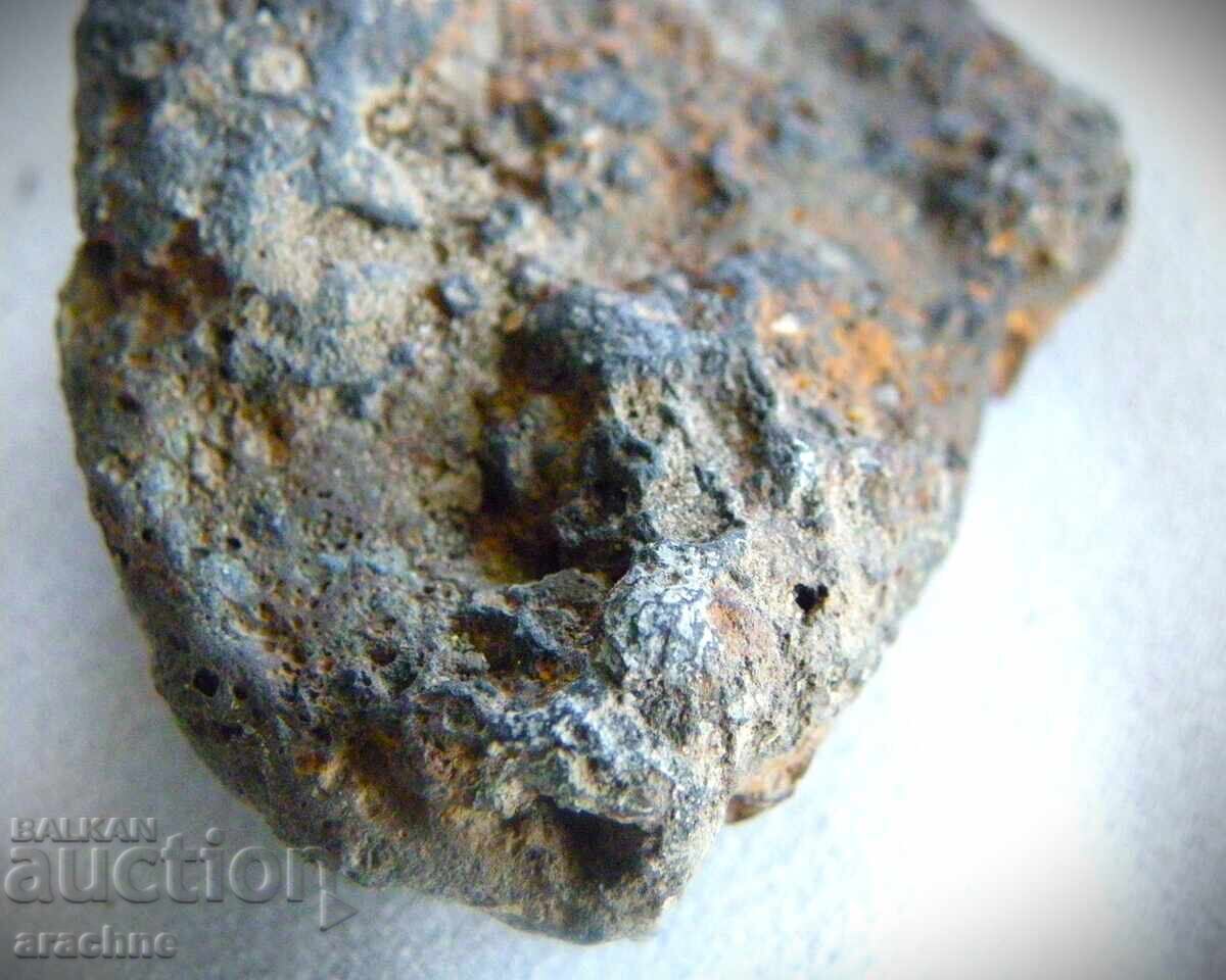 Meteorite and Ammonite from Morocco - 7