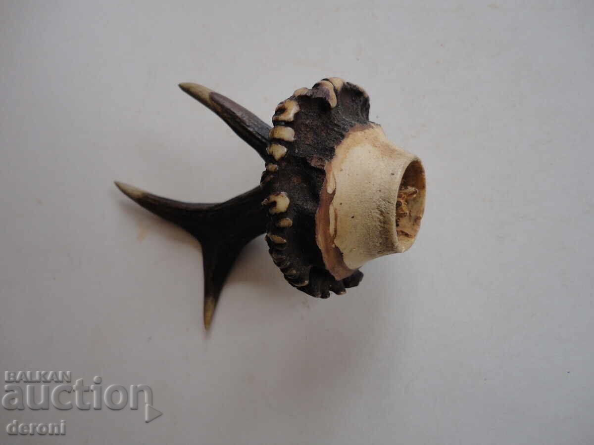 Auction  Horn of a horn hanger