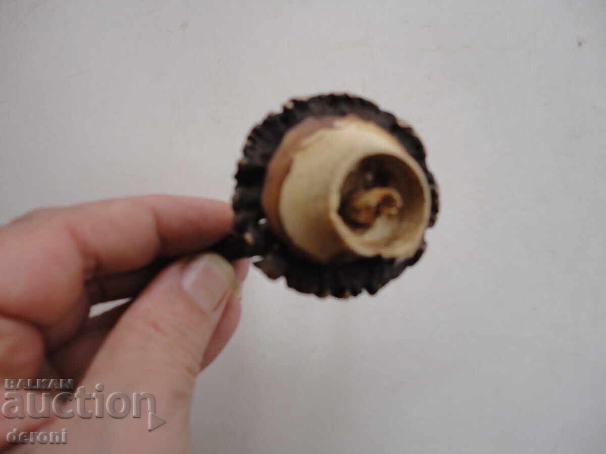 Delivery of Horn of a horn hanger