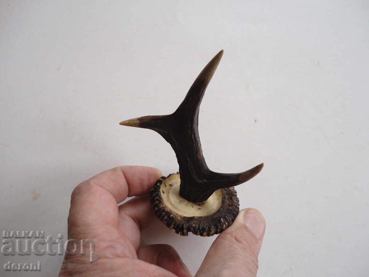 Horn of a horn hanger - 5
