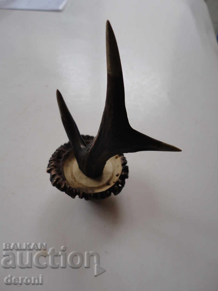 Horn of a horn hanger - 6