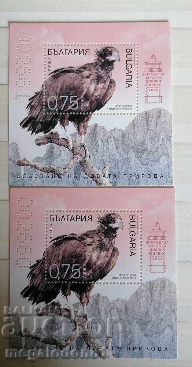 Bulgaria - Set Vultur Negru