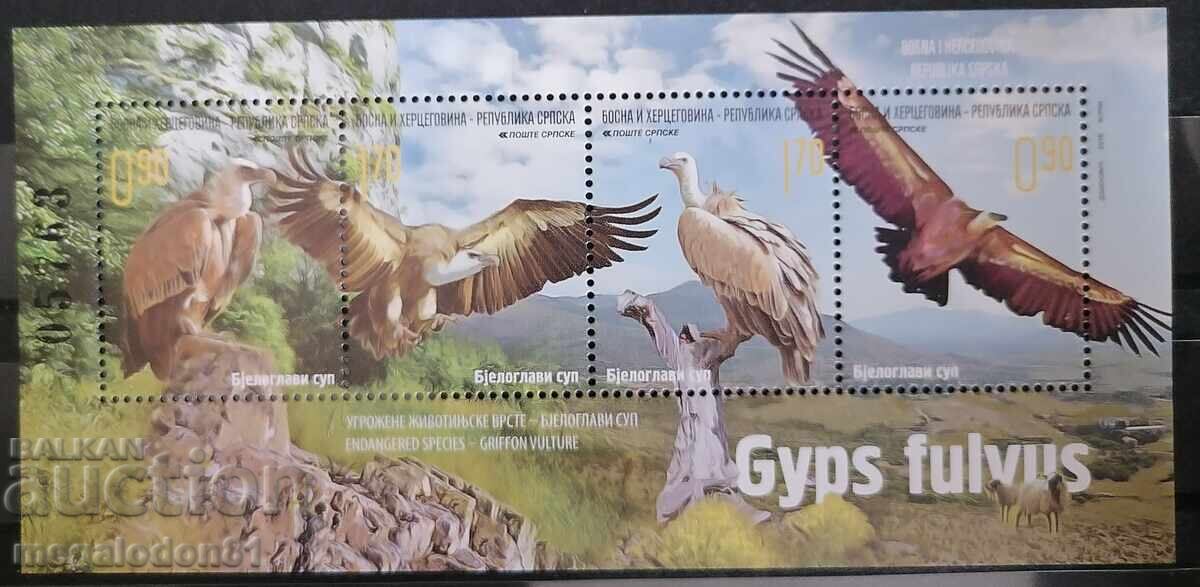 Republika Srpska (Bosna) - vultur pleșuv
