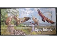 Republic of Srpska (Bosnia) - Griffon Vulture