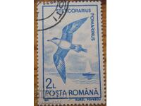 Румъния "Птици" - 1991 г