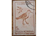 România "Păsări" - 1991