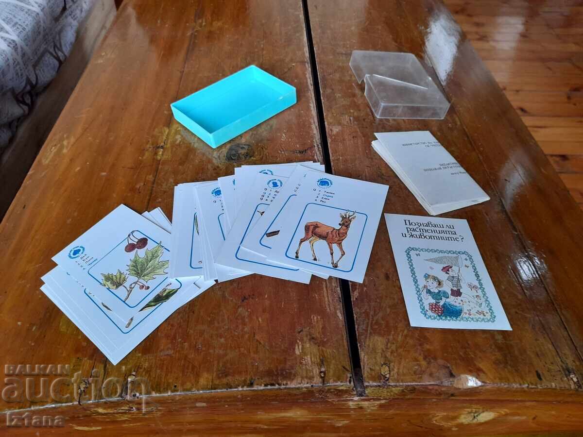Old cards. Do you know the plants and animals? with price 32.00 BGN | € 16.36