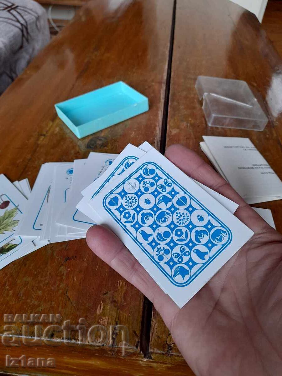 Auction  Old cards. Do you know the plants and animals?