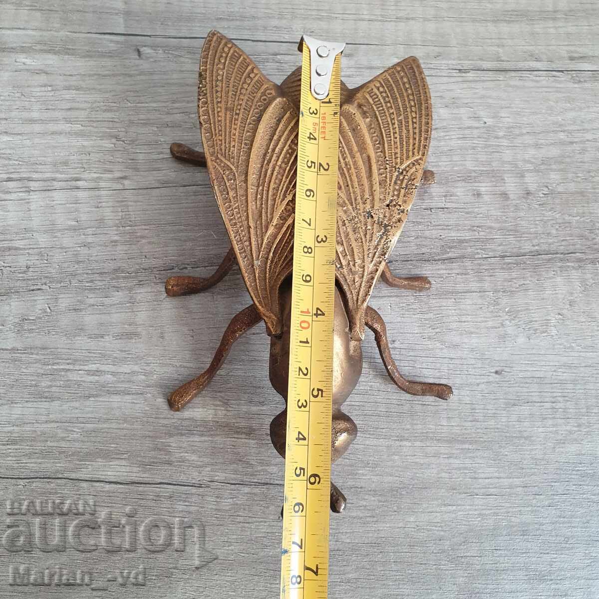 Cenușar din bronz, muscă - 7 Cenușar din bronz, muscă - 7