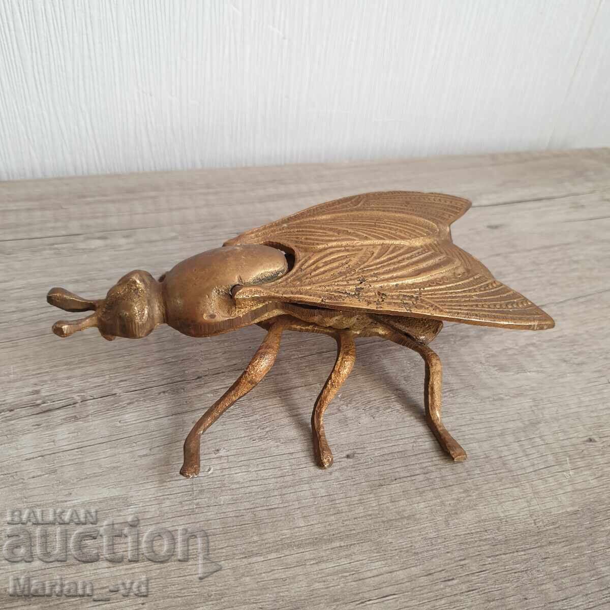 Cenușar din bronz, muscă Cenușar din bronz, muscă