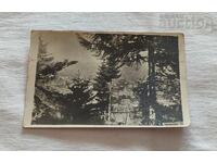 CEPELARE ASPECT GENERAL P.C. 193.. a