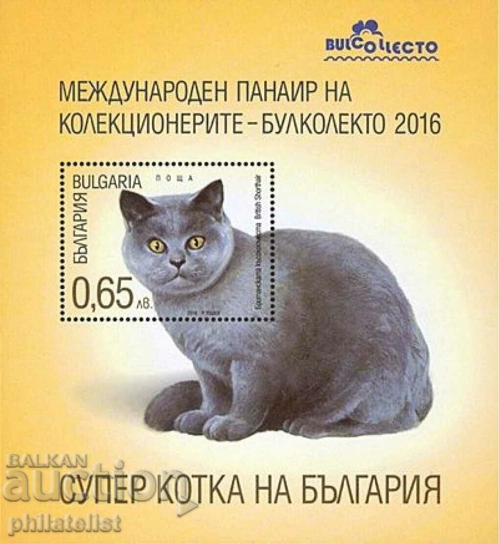 Bulgaria 2016 - Fauna, British cat block Bulgaria 2016 - Fauna, British cat block