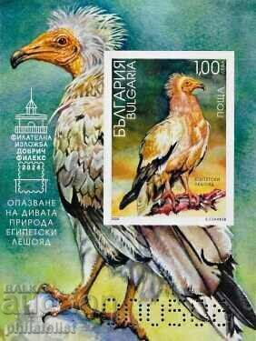 Auction Bulgaria 2024 - Egyptian vulture - 2 MNH blocks Auction Bulgaria 2024 - Egyptian vulture - 2 MNH blocks