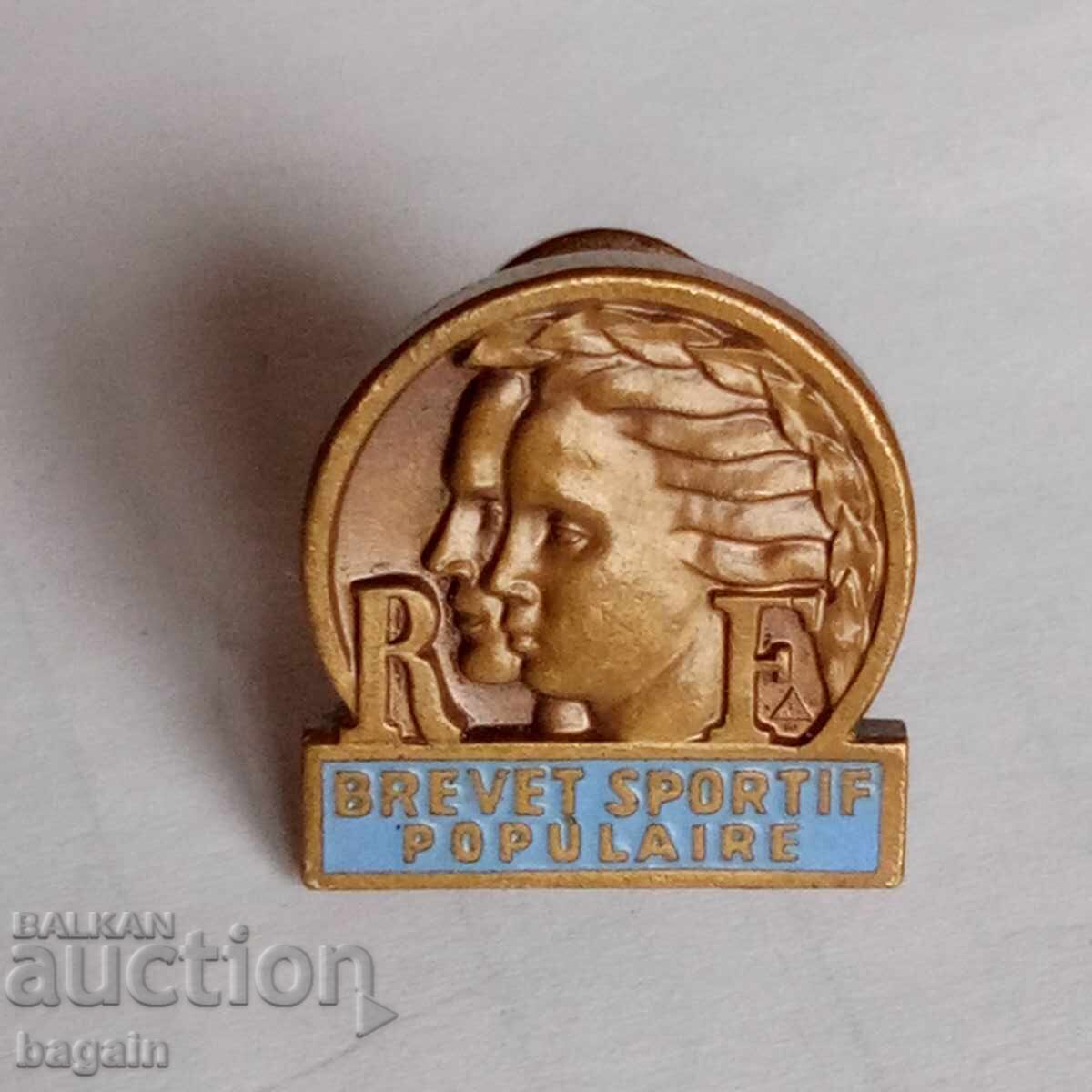 Rară insignă sportivă franceză Rară insignă sportivă franceză