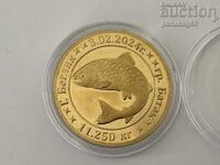 Βουλγαρική κληρονομιά - Άγρια Ζώα της Βουλγαρίας - Πέστροφα