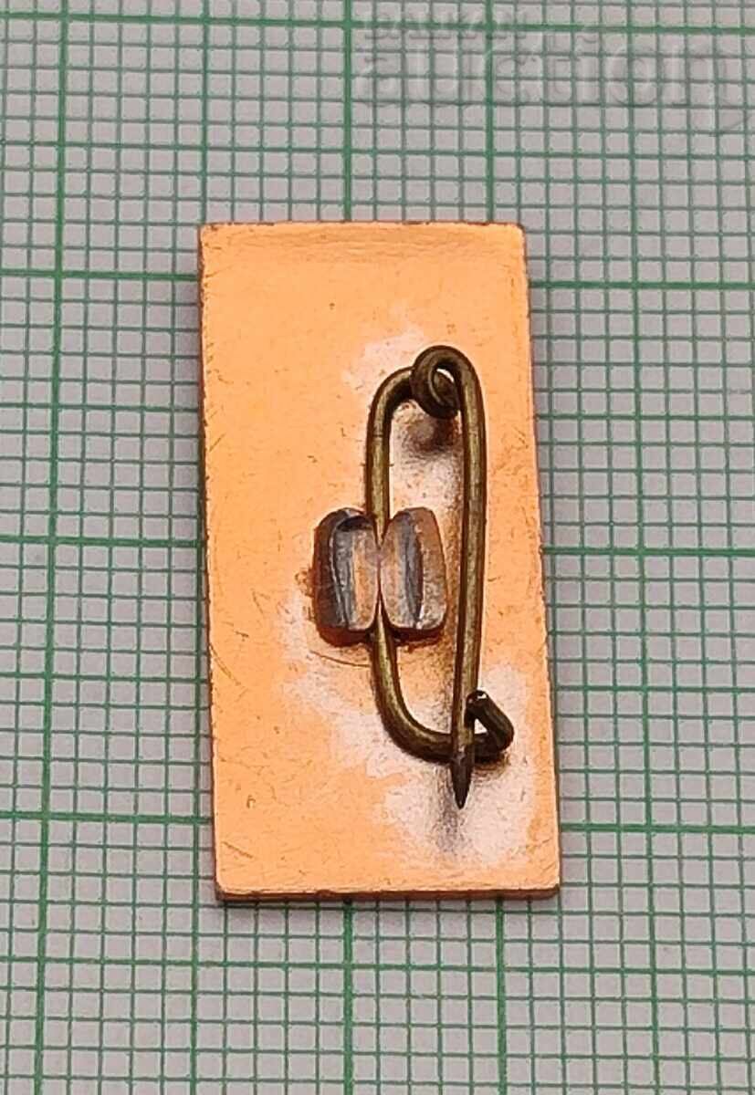 ВАСИЛ ЛЕВСКИ ЗНАЧКА с цена 1.00 лв. | € 0.51 ВАСИЛ ЛЕВСКИ ЗНАЧКА с цена 1.00 лв. | € 0.51