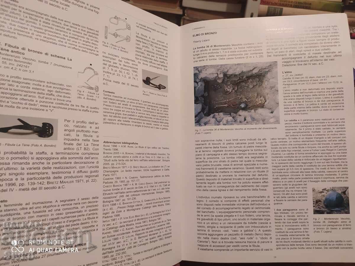 Delivery of Brochure, foreign language