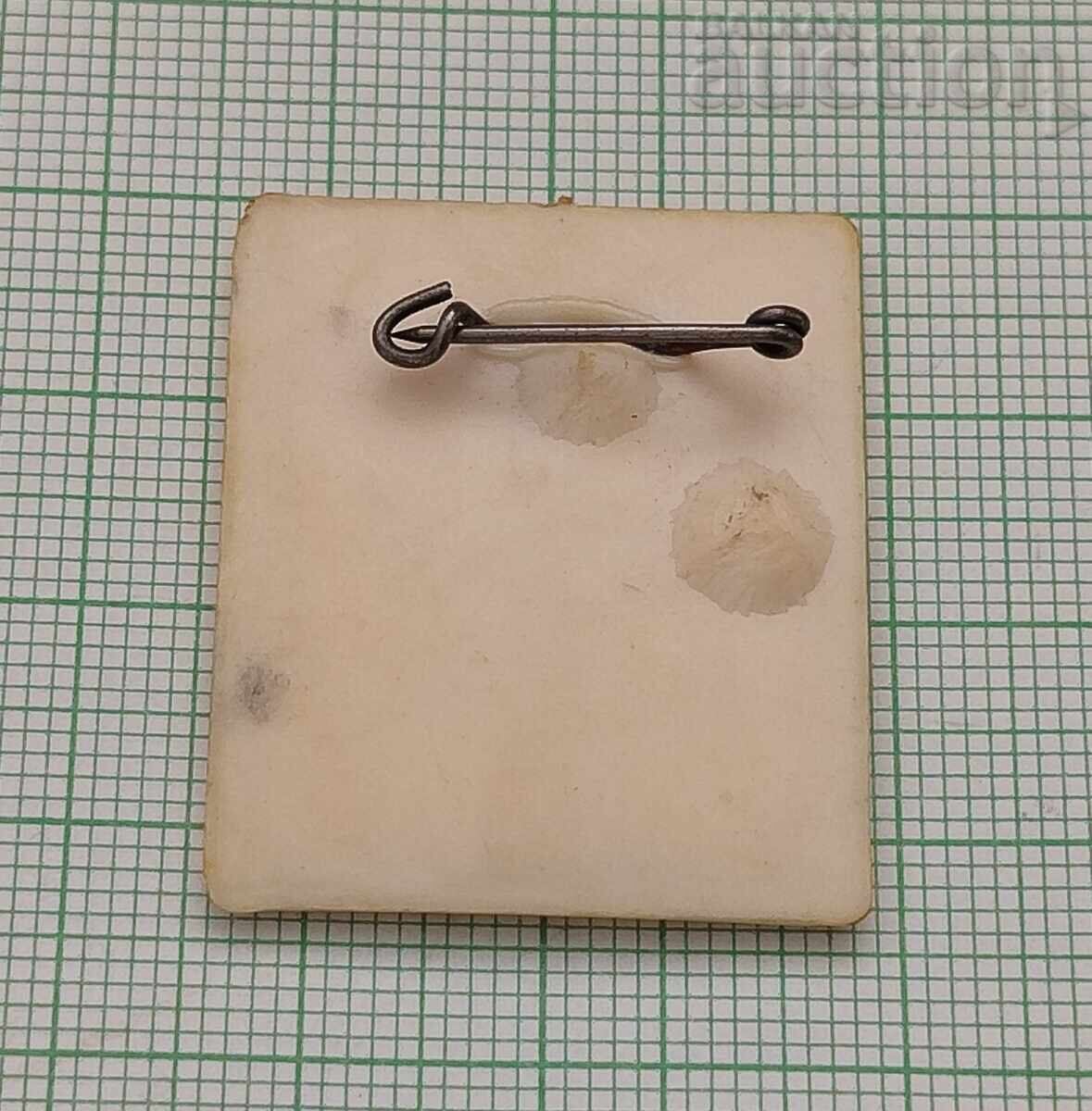 SAMANTHA FOX INSIGNĂ cu preț 5.00 BGN | € 2.56