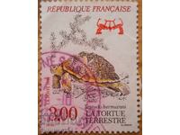 France "Turtles" - 1991