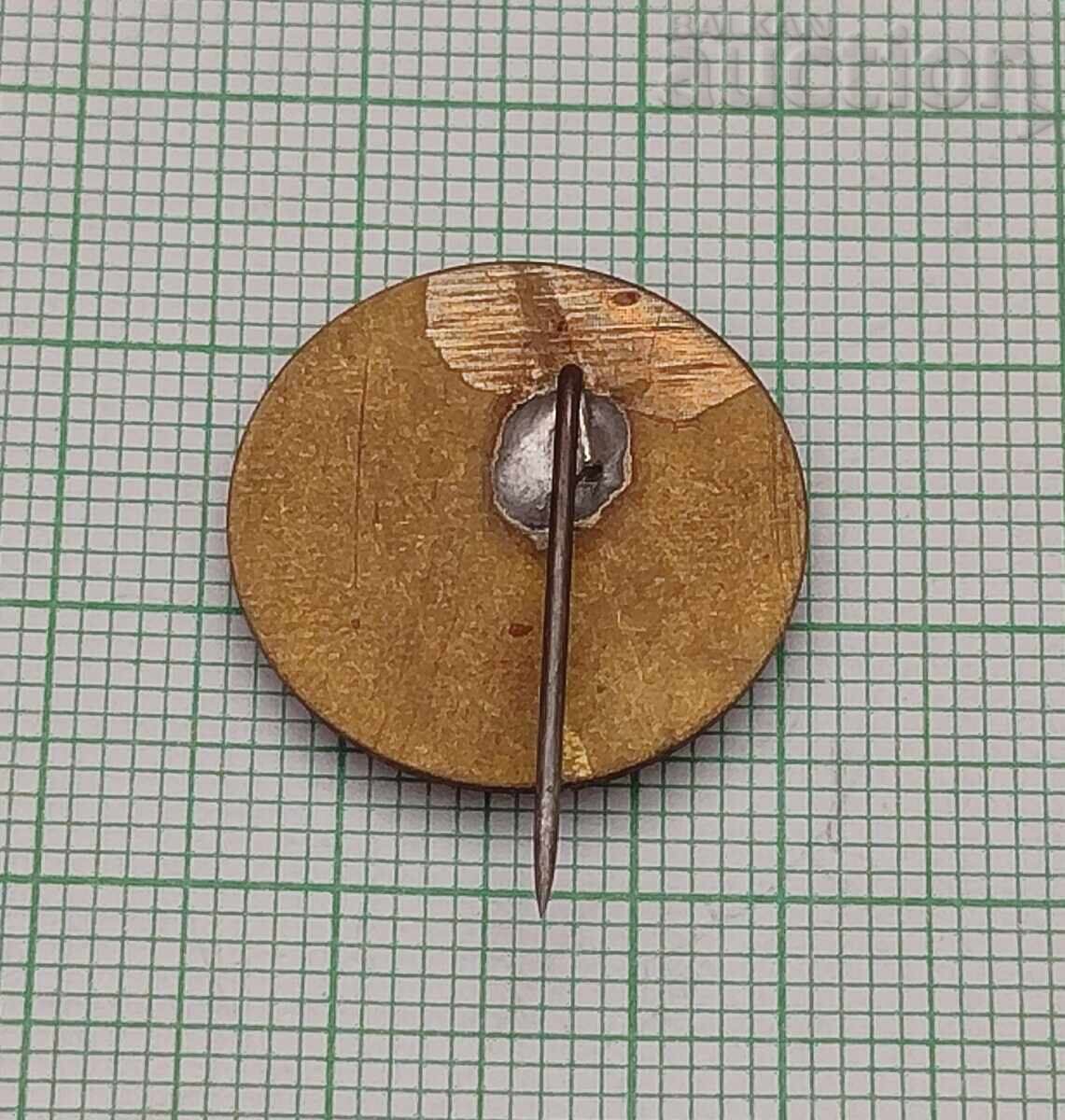 Delivery of Paramedic Medical Education 30 years Badge