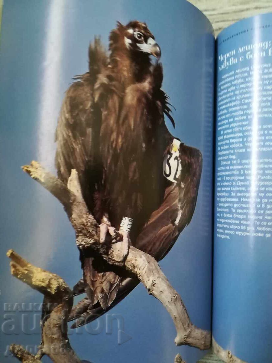 Set 7 bucăți revistă 8 - 6