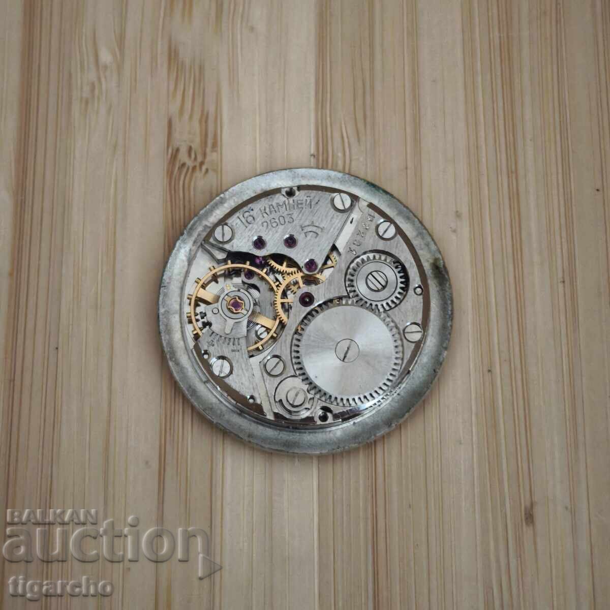 Delivery of Raketa Watch Movement