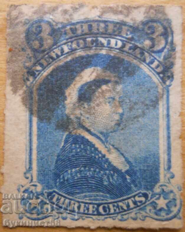 Нюфаундленд "Кралица Виктория" - 1873 г