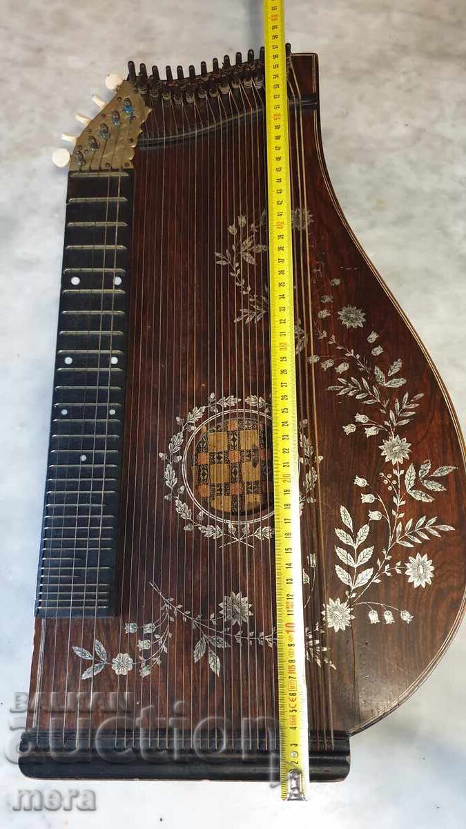 Instrument muzical german vechi - citra - 6 Instrument muzical german vechi - citra - 6