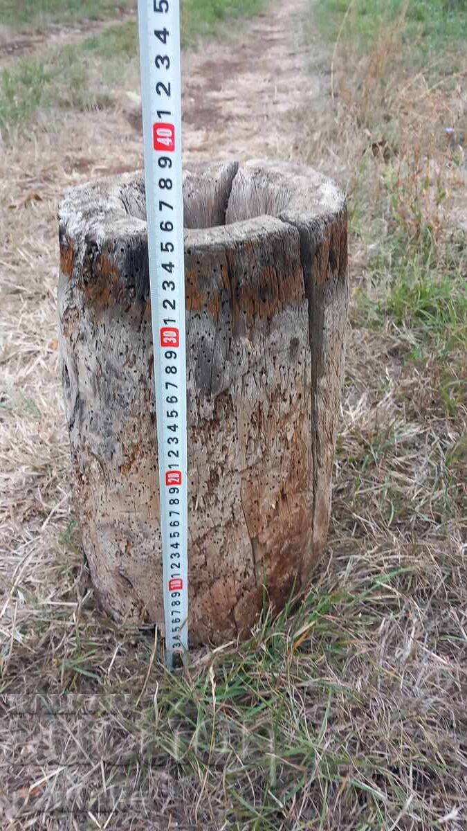 Δημοπρασία ΔΕΝ ΒΡΕΘΗΚΕ ΜΕΤΑΦΡΑΣΗ