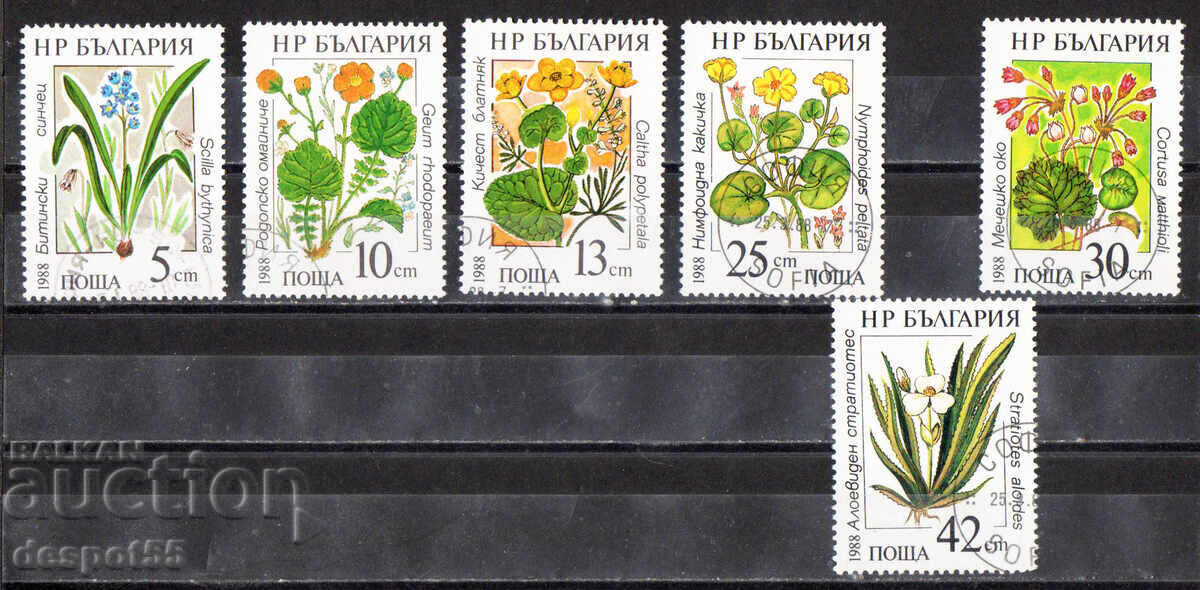 1988. Bulgaria. Water Lilies 1988. Bulgaria. Water Lilies