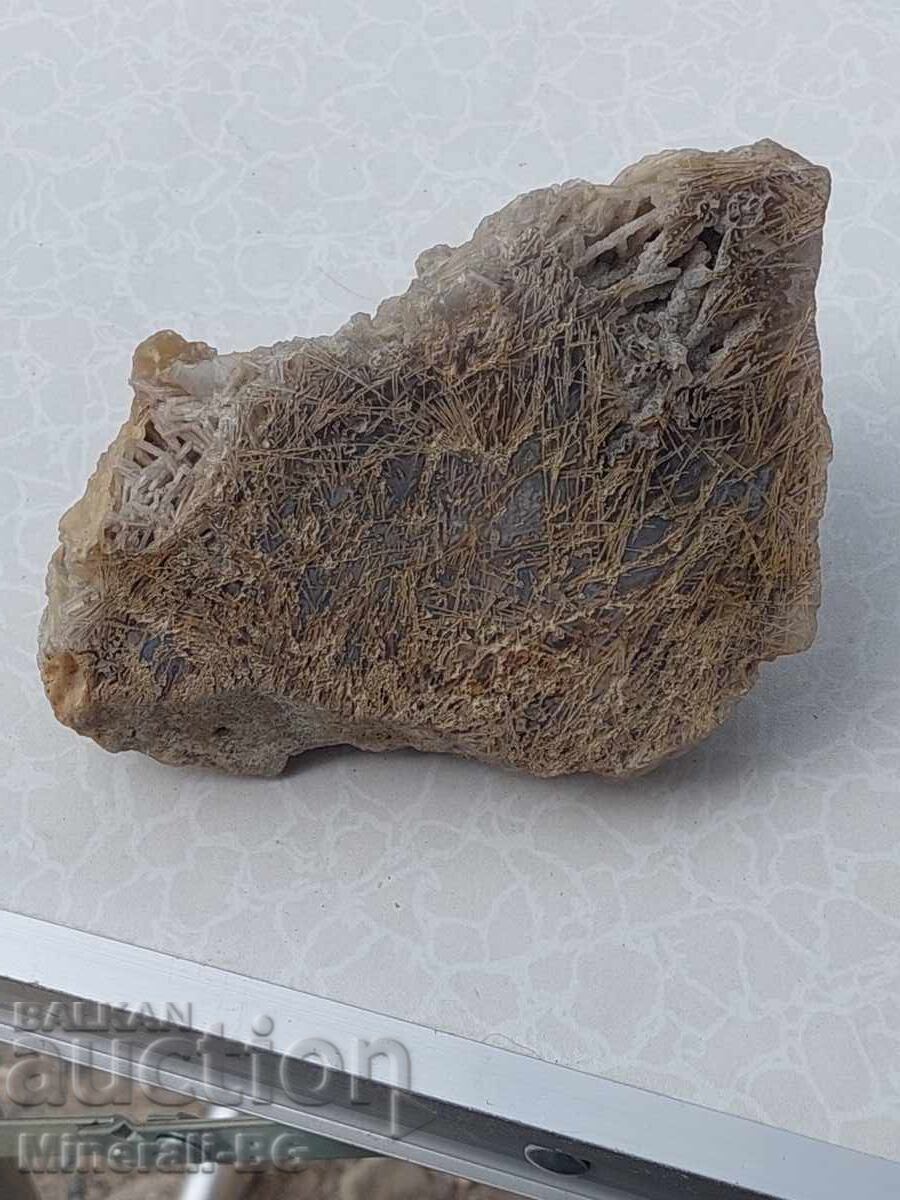 Auction  Agate Segments