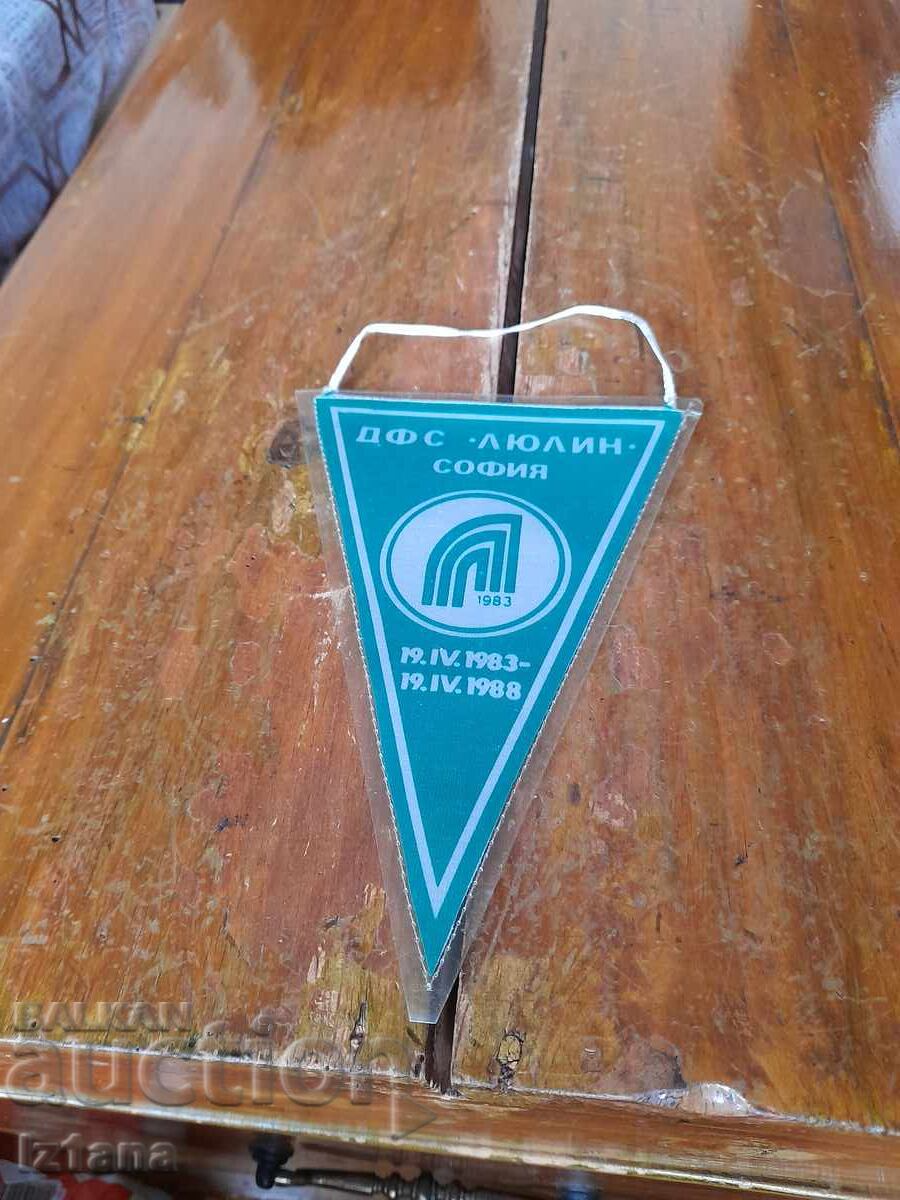 Old flag, flag DFS Lyulin