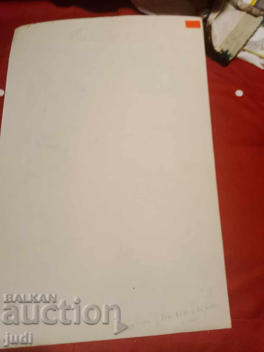 Delivery of R. Tomov Pastel Painting