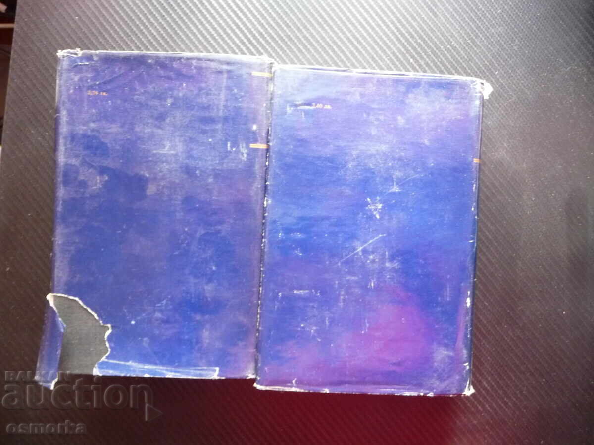 Δημοπρασία Πόλεμος και Ειρήνη, τόμοι 1 και 2, Λέων Τολστόι, Παγκόσμια κλασική λογοτεχνία, ρωσική ομορφιά