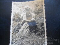 Стара снимка, 3.ХI.1956 г., с. Брежани, Благоевградско