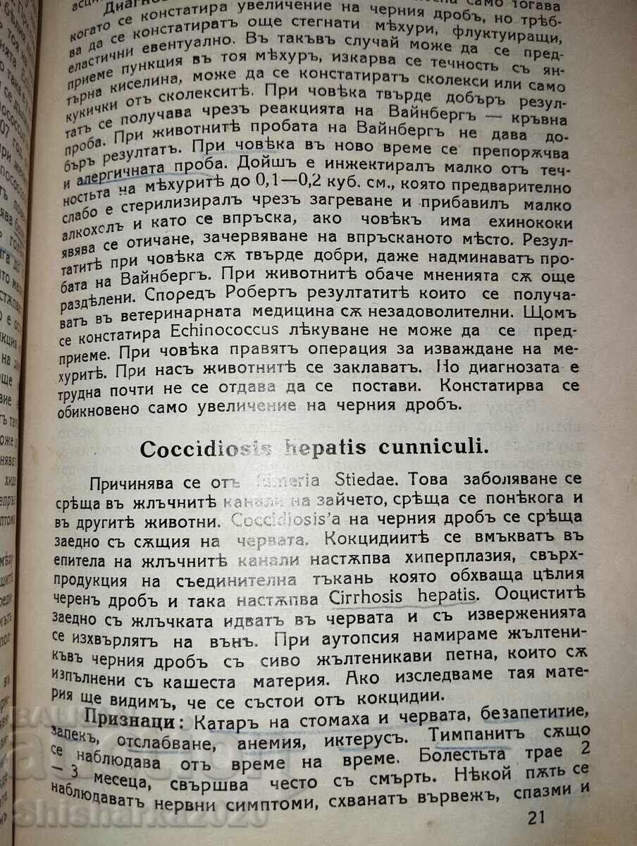 Special Pathology and Therapy of Domestic Animals - 6