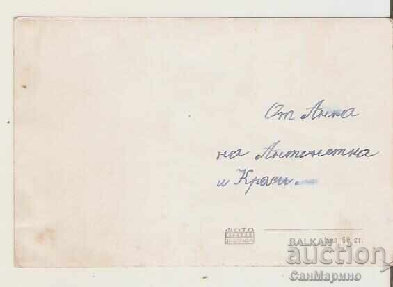 Картичка България Петрич Изглед 1** с цена 2.40 лв. | € 1.23 Картичка България Петрич Изглед 1** с цена 2.40 лв. | € 1.23