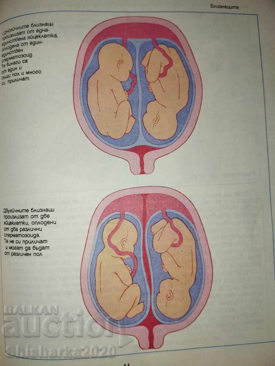 Παράδοση Σεξουαλική ζωή 10-13 Παράδοση Σεξουαλική ζωή 10-13