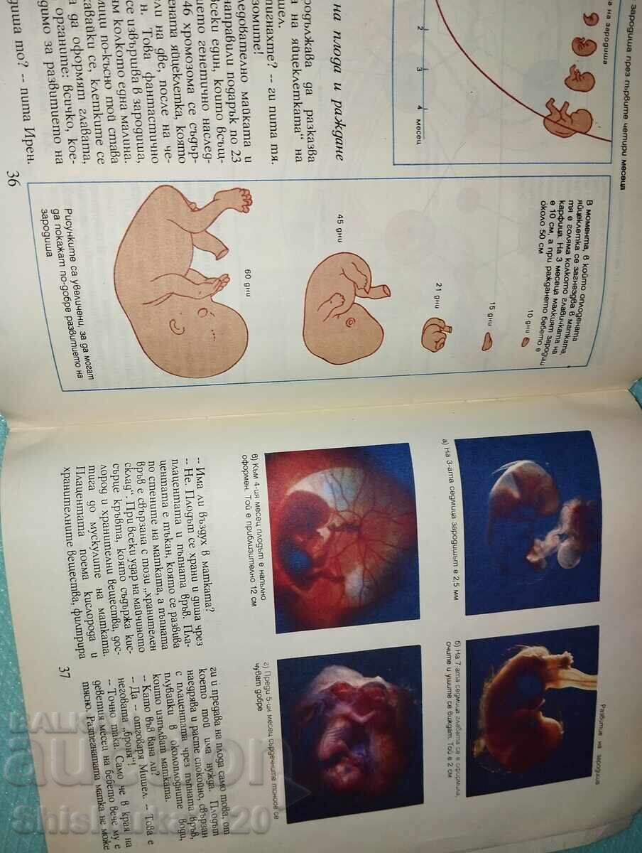 Σεξουαλική ζωή 10-13 - 5 Σεξουαλική ζωή 10-13 - 5