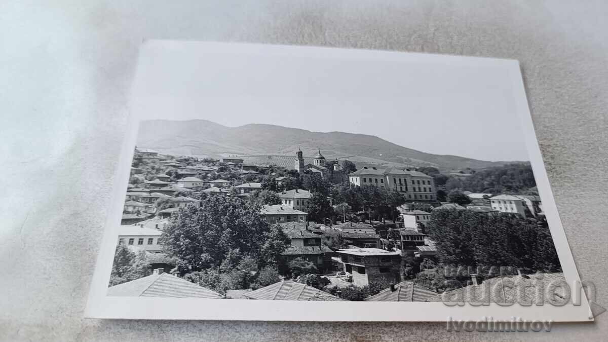 Снимка Елена 1973 Снимка Елена 1973