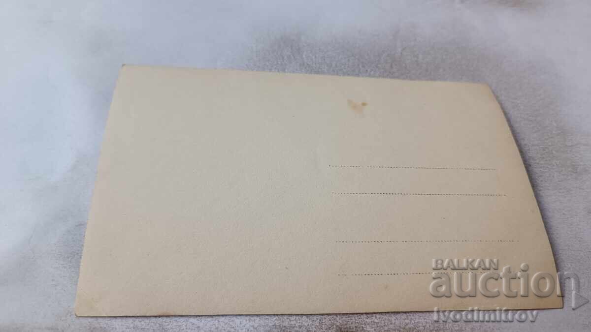 Φωτογραφία Βάρνα Αξιωματικοί και στρατιώτες στον Θαλάσσιο Κήπο με τιμή 2.85 BGN | € 1.46