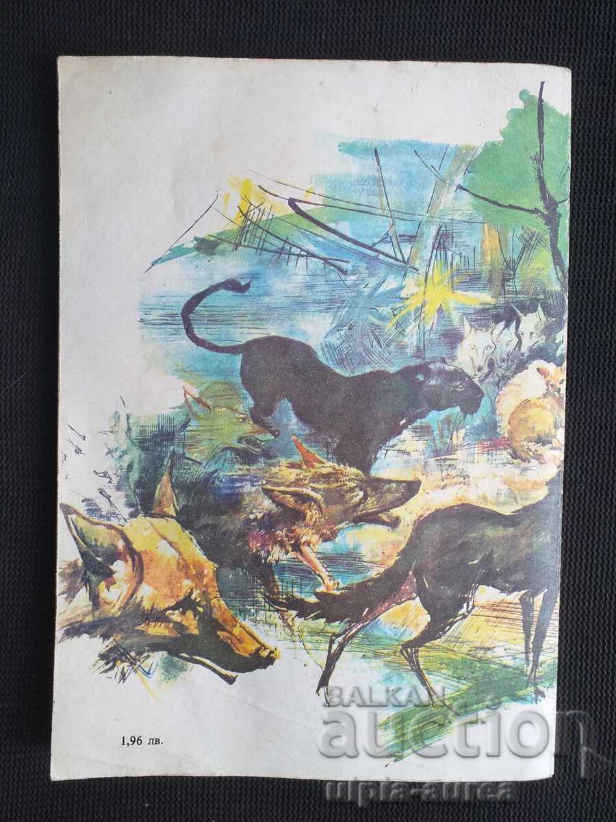 Social children's book - 5