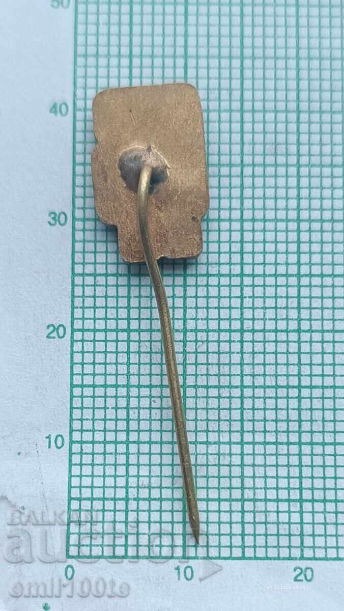 Livrarea Insigna - Turneu de box Livrarea Insigna - Turneu de box