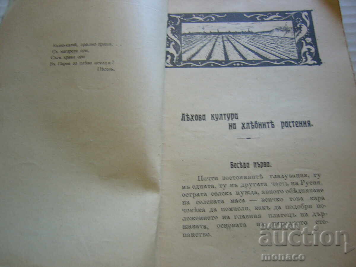 Δημοπρασία Παλαιό βιβλίο - Ν. Ντιμτσίνσκι, Η καλλιέργεια των λαχανικών και των σιτηρών