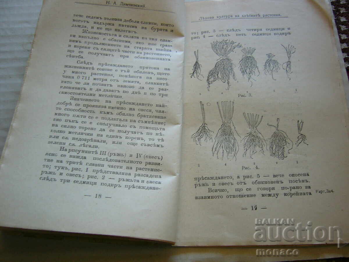 Παράδοση Παλαιό βιβλίο - Ν. Ντιμτσίνσκι, Η καλλιέργεια των λαχανικών και των σιτηρών