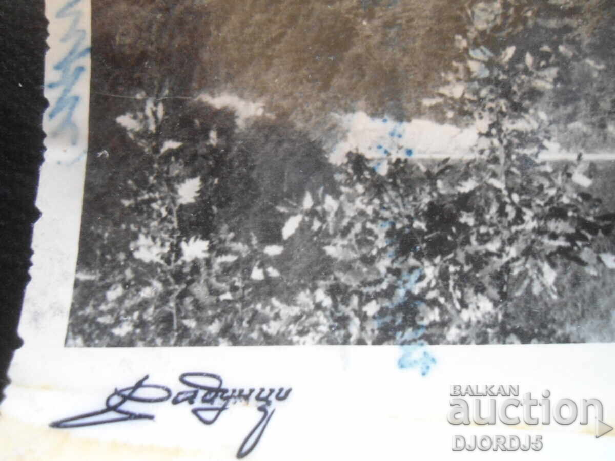 Παλιά φωτογραφία, Ραδούντσι, 29.IX.1961 με τιμή 2.00 BGN | € 1.02