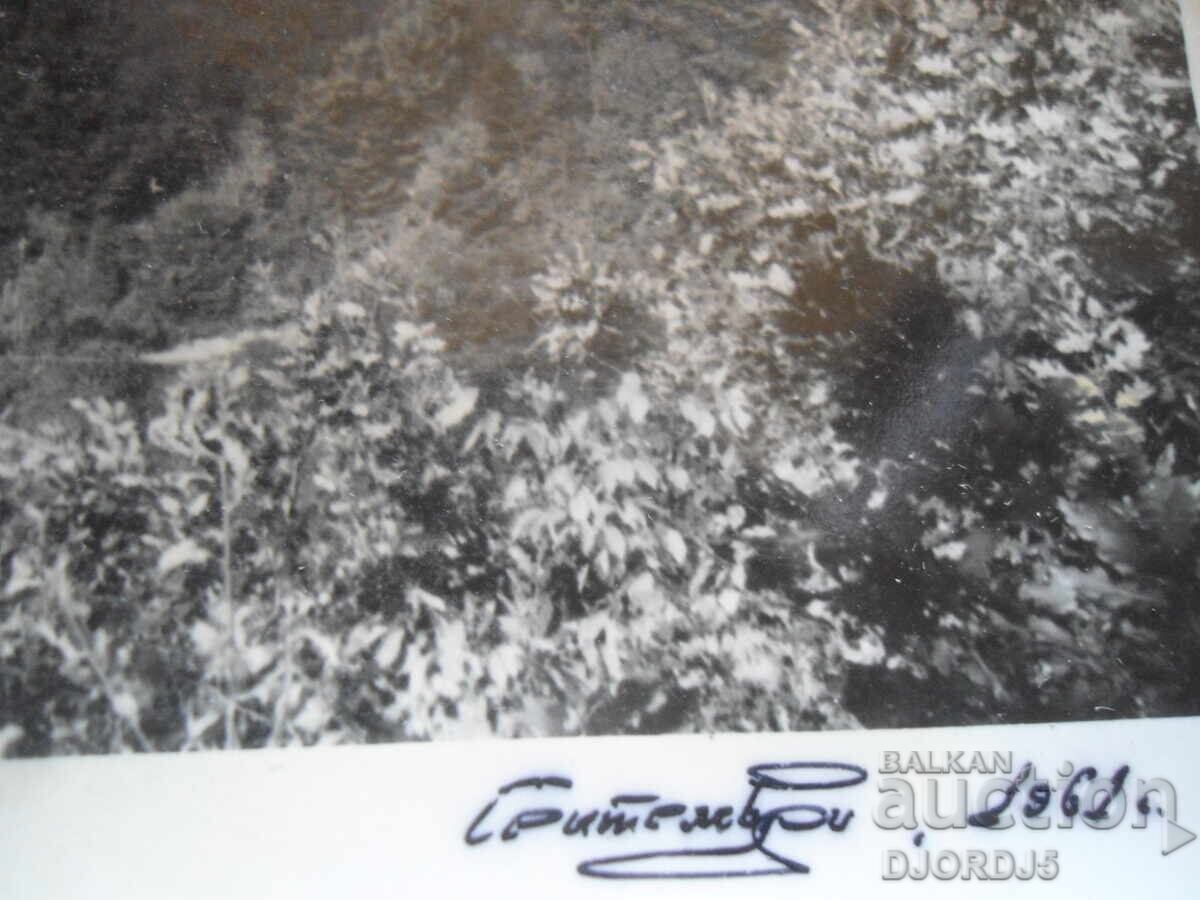 Δημοπρασία Παλιά φωτογραφία, Ραδούντσι, 29.IX.1961