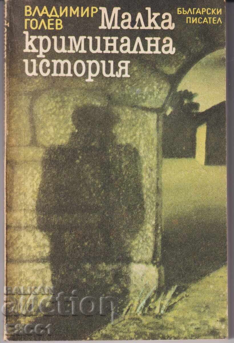 Book "A Small Criminal Story" by Vladimir Golev